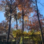 @grogans_bluff_in_sandy_springs - Instagram
