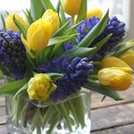 Sandy Grossman - @sandy.grossman.54 - Instagram