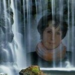 Sandy Grossmann - @sandygrossmann7 - Instagram