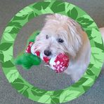 Sandy Grove - Facebook