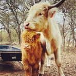 Sandy Grove Ranch - Facebook