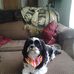 Sandy Grover - Facebook