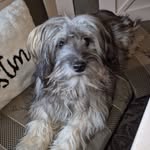 Sandra Gruber - @koenigstochter_sandy - Instagram
