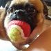 Sandra Gruber - Facebook