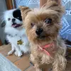 Sandyguess - @sandrasteulet - TikTok