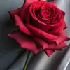 😘😘😘🤩🤩 - @sandyaguin31 - TikTok