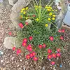 sandyguinn391 - @sandyguinn391 - TikTok