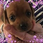 Sandy Lilly Gunnells - @sandy.l.gunnells - Instagram