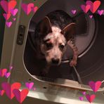 Sandy Gunter - Facebook