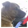 Sandra Gustafson679 - @sandragustafson67 - TikTok