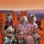 Sandy Gustafson - @sandygus1959 - Instagram