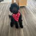Sandy Gustafson - Facebook
