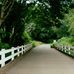 Sandy Gustafson - Facebook