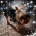 Sandy Gutshall - Facebook