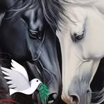 Sandy Hacker - @sandyhacker7 - Instagram