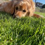 Sandy Haddock - @minimiss40 - Instagram