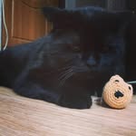 Sandra Halverson - @mojzermirwas - Instagram