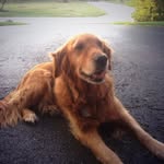 Sandy Halverson - @sandy_halverson - Instagram