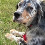 Sandy Halverson - @sandy.halverson.9 - Instagram