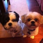 Sandy Halverson - @sciencegalsandy - Instagram