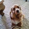 sandyhalverson - @sandy.halverson - TikTok