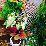 Sandra Hamlin - @sandra.hamlin - Instagram