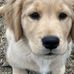 Sandy Hamlin - Facebook