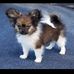Sandie Hammer - Facebook