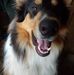 Sandy Hammer - Facebook