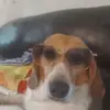 Sandy Hammer - @sandy.hammer1 - TikTok