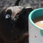 Sandy Hammer - @oohammeroo - Instagram