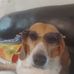 Sandy Hammer - Facebook