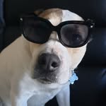 Sandy Hampson - @sandy.hampson.3 - Instagram