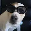 sandyhampson - @sandyhampson - TikTok