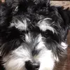 sandyhamrick671 - @sandyhamrick671 - TikTok