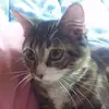 sandyhancock6 - @sandyhancock6 - TikTok