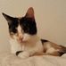 Sandy Haney - Facebook