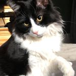 Sandy Haney - @sandy.haney.12 - Instagram