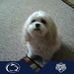 Sandy Hanks - Facebook