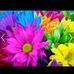 Sandy Hanks - Facebook