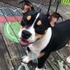 Sandy harbor - @itts._brooklyn - TikTok