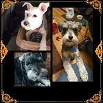 Sandra Hardman - @sandrahardman57 - Instagram