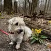 sandyhardman377 - @sandyhardman377 - TikTok