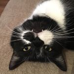 Sandy - @sandy_hardwick_ - Instagram