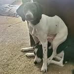 Sandy Hardy Lakes - @sandyhardylakes - Instagram