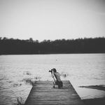 Sandra Harms - @saha_fotografie - Instagram