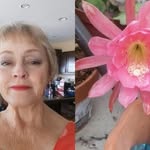 Sandy Harter (Sandra Zuppardo Harter ) - @sandy.harter.7836 - Instagram