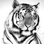 Sandy Hartman - @sandy.hartman.3760 - Instagram