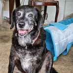 Sandy Hartman - Facebook
