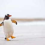 Sandy Hatch - @sandhatch77 - Instagram